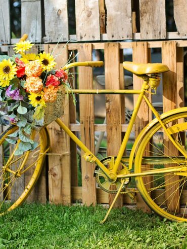 Idées originales pour l'aménagement de votre jardin.
