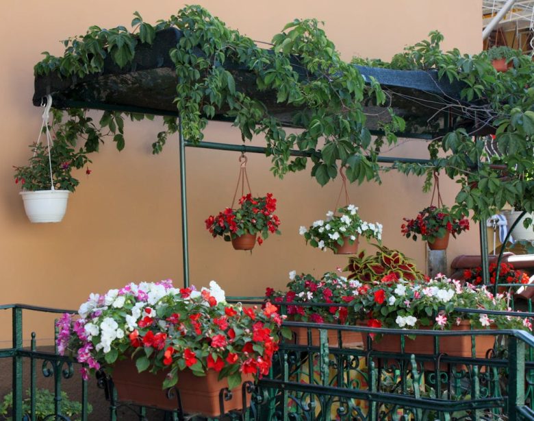 guide pratique pour un jardin réussi pour Les meilleures plantes extérieures en pot