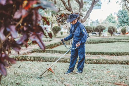 le coût d'un entretien de jardin à l'année