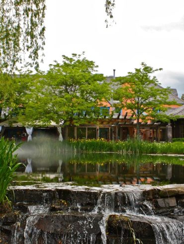 conseils et astuces pour Aménager un bassin de jardin avec cascade