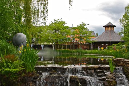 conseils et astuces pour Aménager un bassin de jardin avec cascade