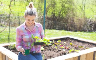Astuces ingénieuses pour économiser l'eau et cultiver un potager durable
