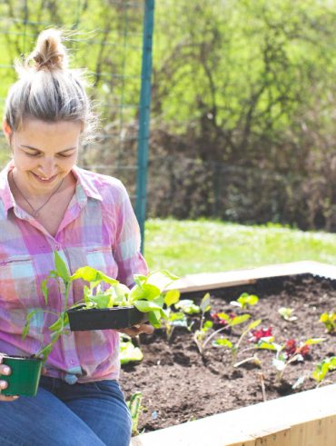 Astuces ingénieuses pour économiser l'eau et cultiver un potager durable
