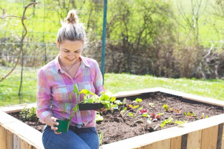 Astuces ingénieuses pour économiser l'eau et cultiver un potager durable