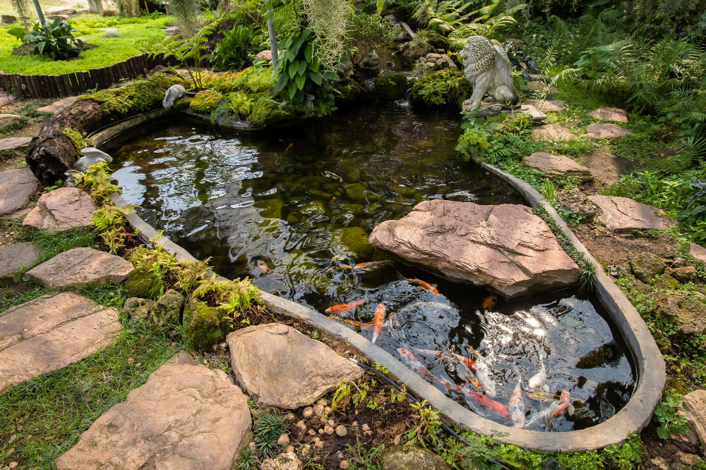 créer un bassin naturel dans votre jardin